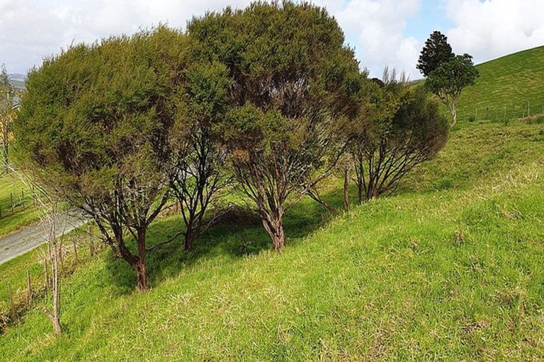 Photo of property in 79 Gorge Road, Maungaturoto, 0520