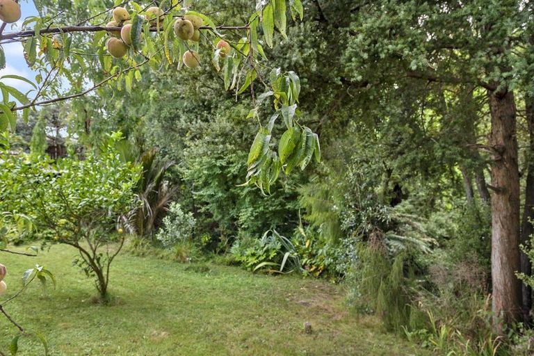 Photo of property in 54 Pulham Crescent, Queenwood, Hamilton, 3210