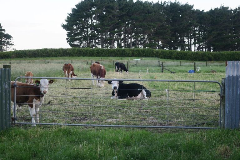 Photo of property in 173 Fairfield Road, Hawera, 4672