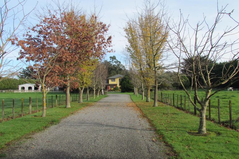 Photo of property in 221 Upper Manaia Road, Upper Plain, Masterton, 5888