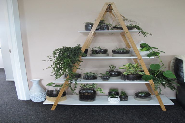 Photo of property in 14 Bryce Street, Kihikihi, Te Awamutu, 3800