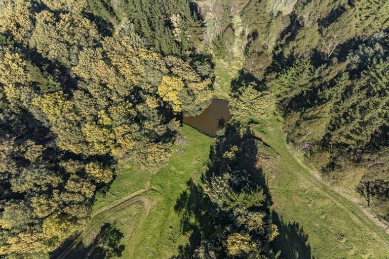 Photo of property in 50 Pakuratahi Valley Road, Tangoio, Napier, 4182