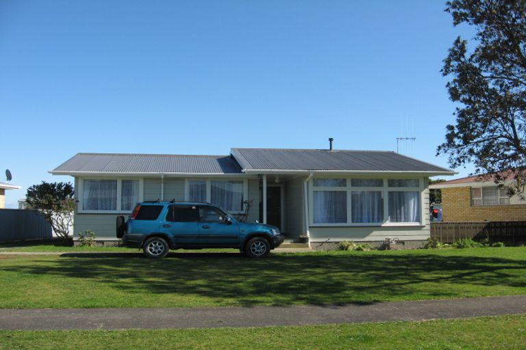 Photo of property in 64 Hinemoa Street, Levin, 5510