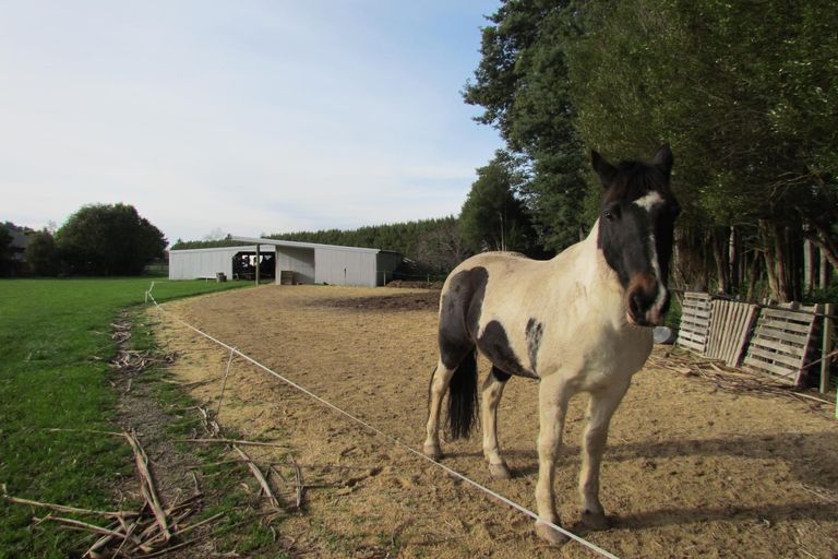 Photo of property in 221 Upper Manaia Road, Upper Plain, Masterton, 5888