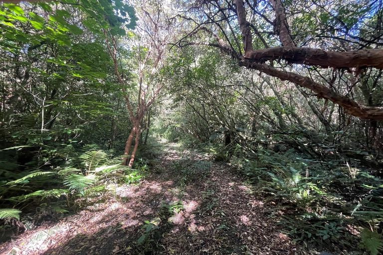 Photo of property in 28 Patmos Avenue, Woodhaugh, Dunedin, 9010