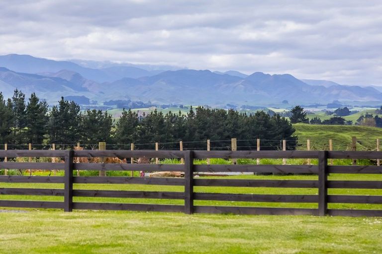 Photo of property in 423 Tipapakuku Road, Dannevirke, 4976