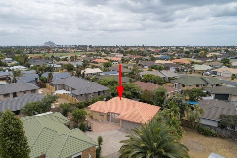 Photo of property in 24 Luculia Drive, Mount Maunganui, 3116