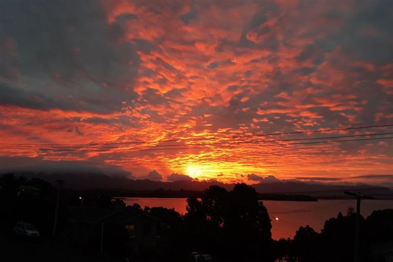 Photo of property in 19 Hamurana Road, Omokoroa, 3114