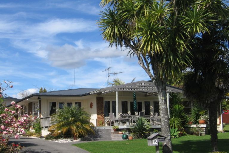Photo of property in 12 Maxine Place, Matua, Tauranga, 3110