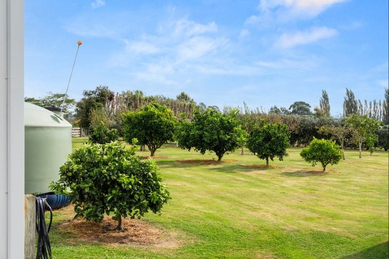 Photo of property in 99 Hansen Road, Makauri, Gisborne, 4071