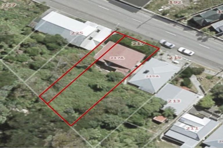 Photo of property in 217 Aro Street, Aro Valley, Wellington, 6021