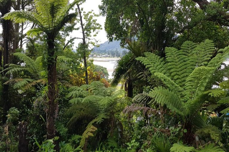 Photo of property in 113 Main Sh25 Road, Tairua, 3508