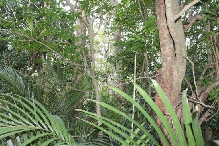 Photo of property in 16 Whaka Street, Maungaturoto, 0520