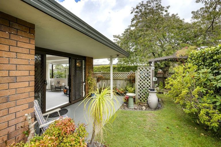 Photo of property in 706a York Street, Mahora, Hastings, 4120