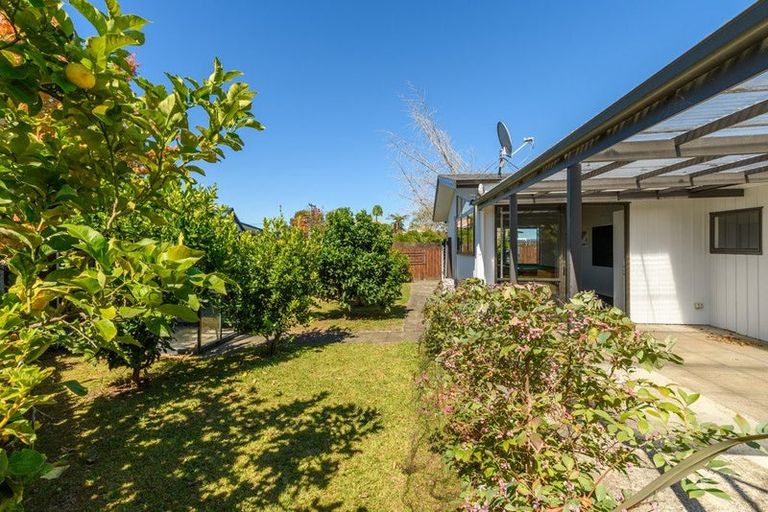 Photo of property in 17 Hairini Street, Hairini, Tauranga, 3112