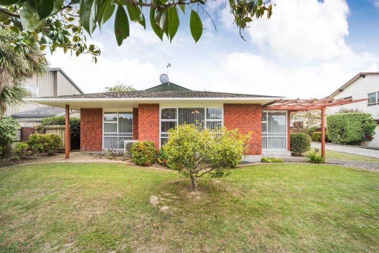 Photo of property in 45 Dittmer Drive, Awapuni, Palmerston North, 4412