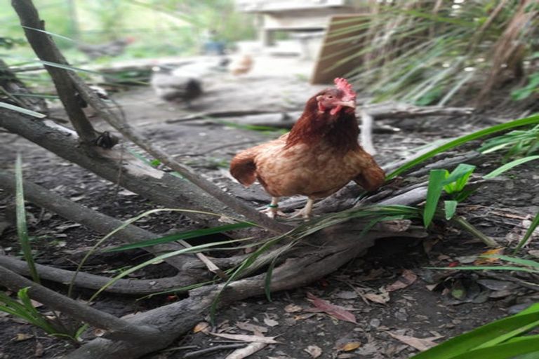 Photo of property in 27 Maire Street, Tahunanui, Nelson, 7011