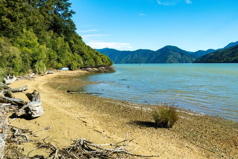 Photo of property in 780 Queen Charlotte Drive, Havelock, Picton, 7281