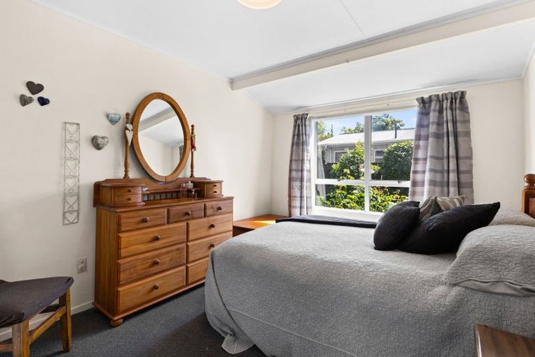 Photo of property in 24 Von Dadelszen Place, Havelock North, 4130