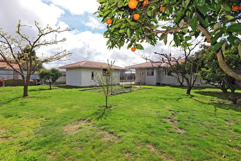 Photo of property in 3 Nicholson Street, Mayfair, Hastings, 4122