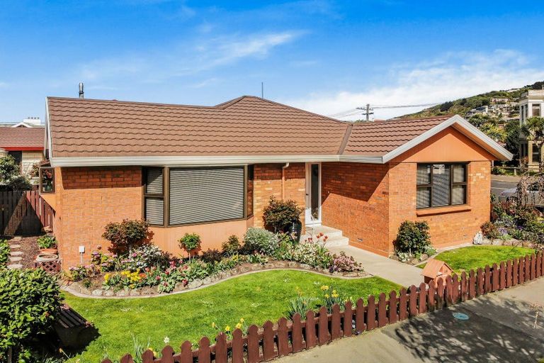 Photo of property in 18 Albert Street, Saint Clair, Dunedin, 9012