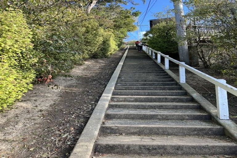 Photo of property in 61 Ravenswood Road, Saint Clair, Dunedin, 9012