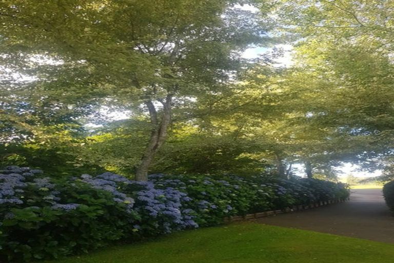 Photo of property in 37 Burwood Road, Tikitere, Rotorua, 3074