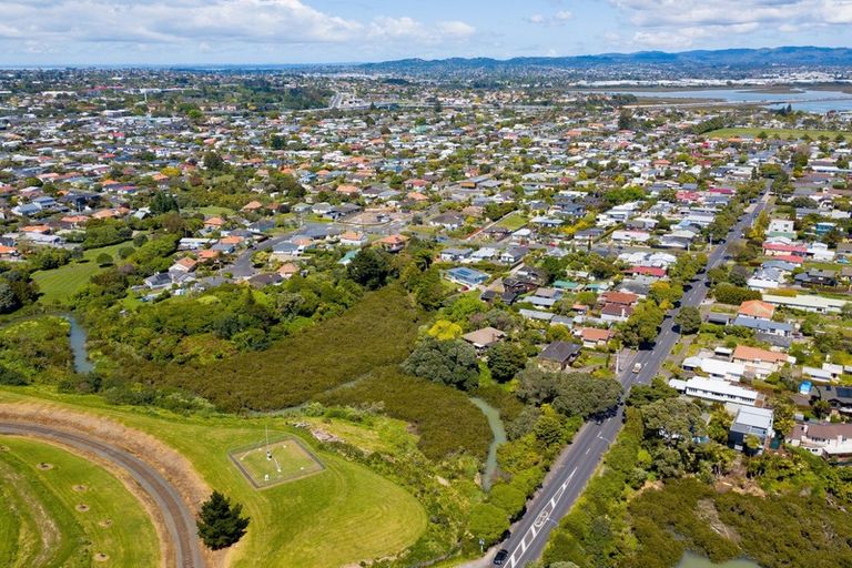 Photo of property in 103 Moa Road, Point Chevalier, Auckland, 1022
