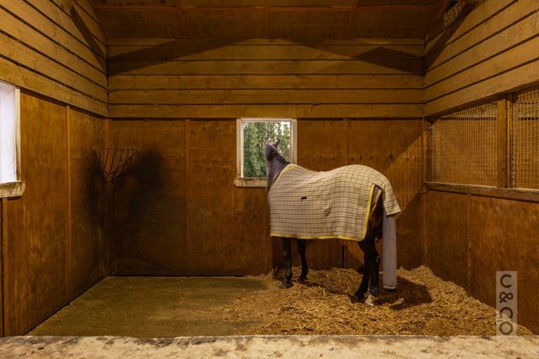 Photo of property in 218 Pomona Road, Kumeu, 0891