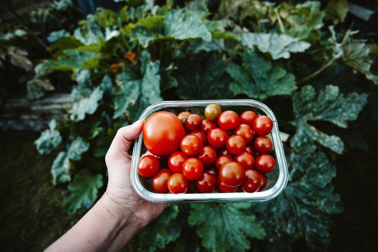 Photo of property in 17 Pekanga Drive, Fox Glacier, 7886