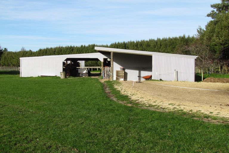 Photo of property in 221 Upper Manaia Road, Upper Plain, Masterton, 5888