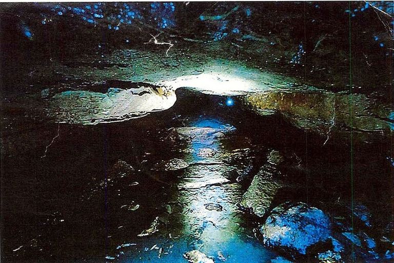 Photo of property in 756a Rutherglen Road, Marsden, Greymouth, 7872