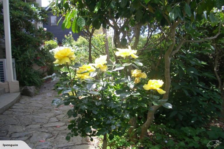 Photo of property in 80 Newington Avenue, Maori Hill, Dunedin, 9010