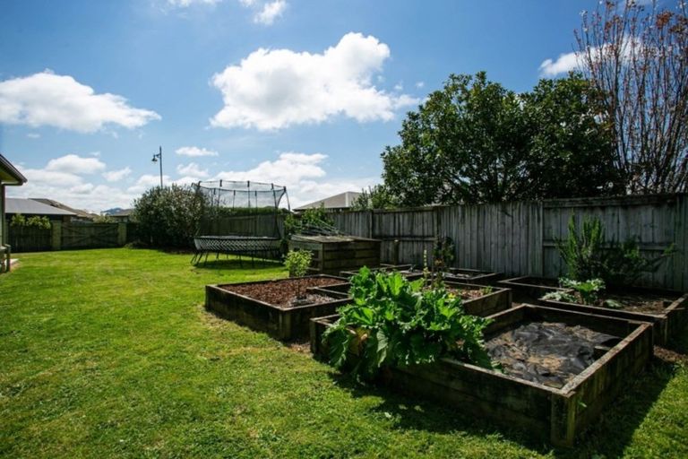 Photo of property in 6 Honiss Place, Cambridge, 3434