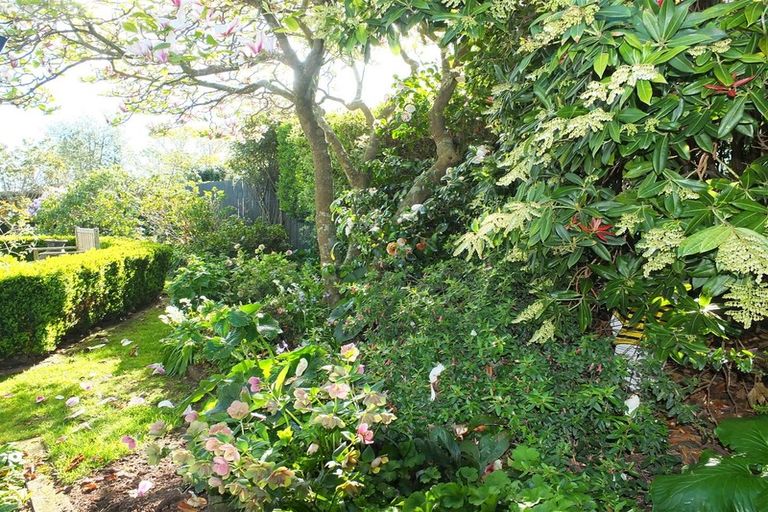 Photo of property in 66 Mowbray Street, Watlington, Timaru, 7910