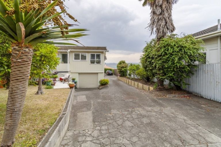 Photo of property in 1/4 George Street, Hospital Hill, Napier, 4110