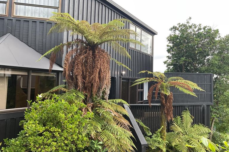 Photo of property in 120 Stanmore Bay Road, Stanmore Bay, Whangaparaoa, 0932