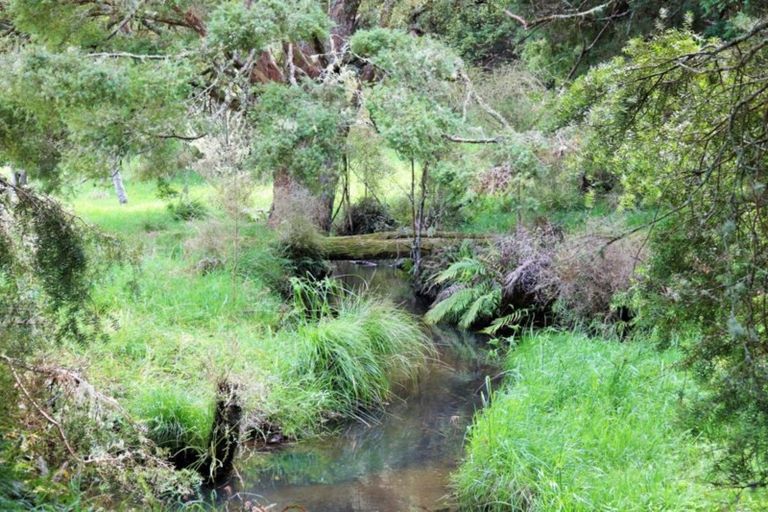 Photo of property in 1008 Tangowahine Valley Road, Tangowahine, Dargaville, 0372