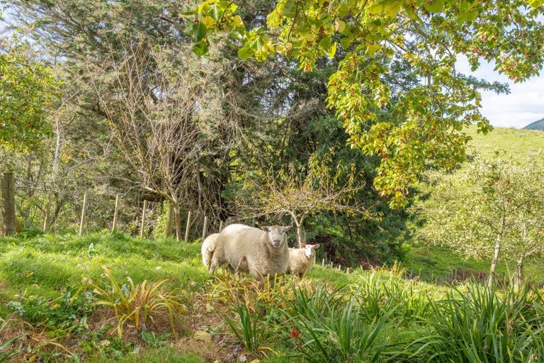 Photo of property in 406 Kakepuku Road, Pokuru, Te Awamutu, 3873
