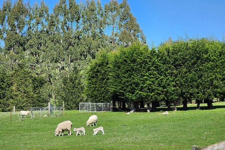 Photo of property in 93 Three Mile Hill Road, Halfway Bush, Dunedin, 9076