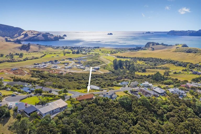 Photo of property in 194 Centennial Drive, Whitianga, 3510