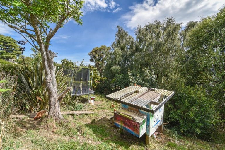 Photo of property in 52 Skibo Street, Kew, Dunedin, 9012