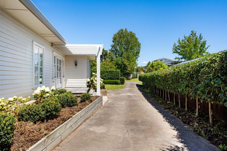 Photo of property in 41 Mchardy Street, Havelock North, 4130