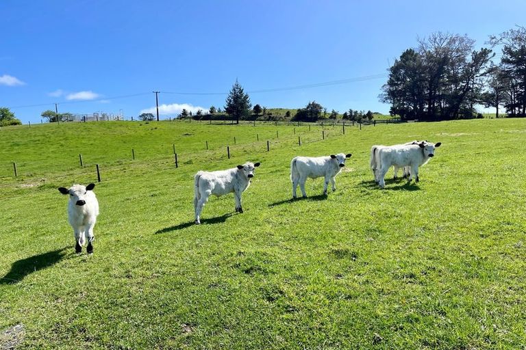 Photo of property in 1106 Puketotara Road, Okaihau, 0295