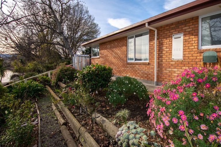 Photo of property in 20 Dawkins Place, Islington, Blenheim, 7201