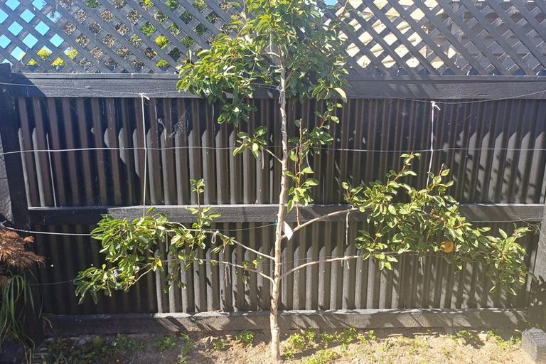 Photo of property in 1/20 Hoani Street, Papanui, Christchurch, 8053