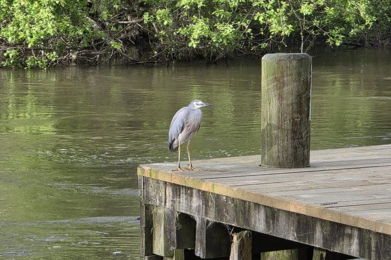 Photo of property in 49/1420 Hamurana Road, Mourea, Rotorua, 3074