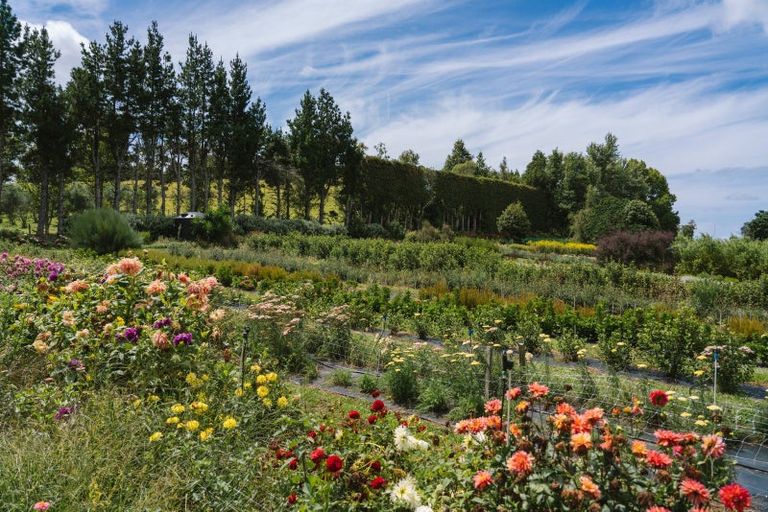 Photo of property in 259 Wainui Road South, Whakamarama, Katikati, 3181