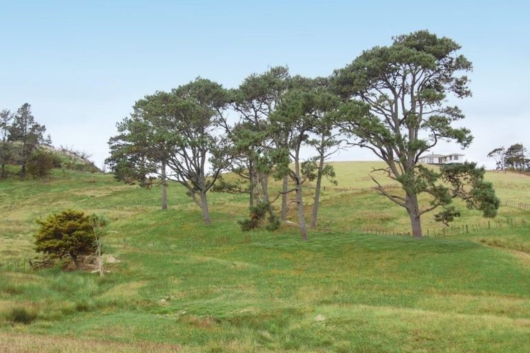 Photo of property in Centennial Park Road, Wellsford, 0900