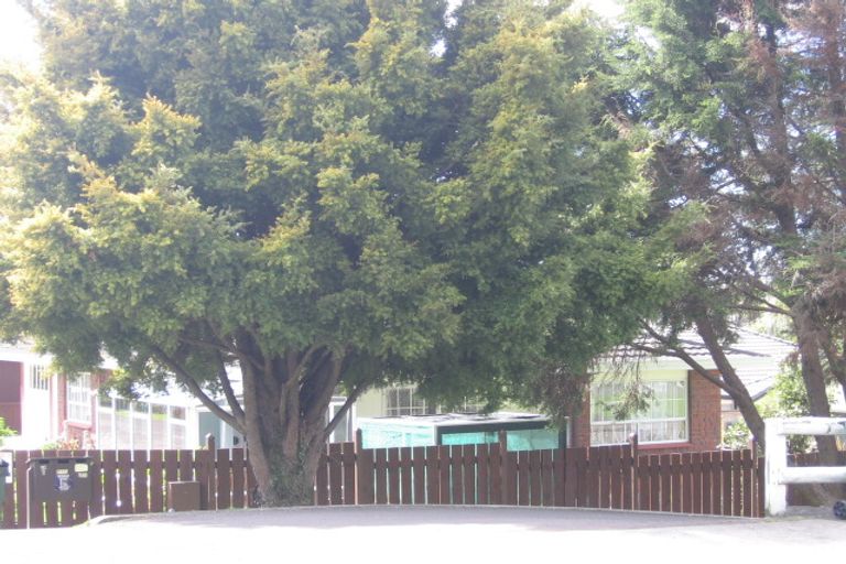 Photo of property in 27 Fourteenth Avenue, Tauranga South, Tauranga, 3112